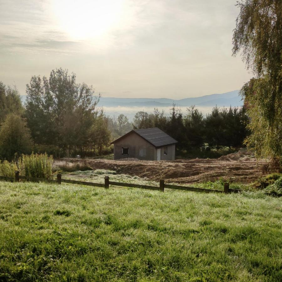 Domek Na Wzgorzu Wojcieszyce 外观 照片